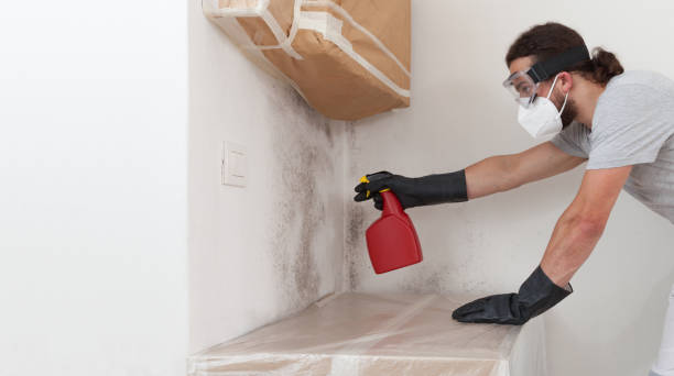 Professional Commercial Mold Remediation technician working in Bloxom, VA