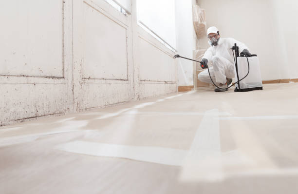 24/7 Emergency Commercial Mold Remediation experts in Bloxom, VA