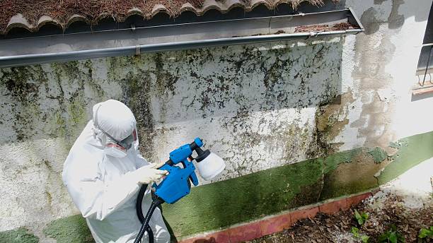 Trusted Bathroom Mold Removal service in Bloxom, VA - Cheap Mold Removal